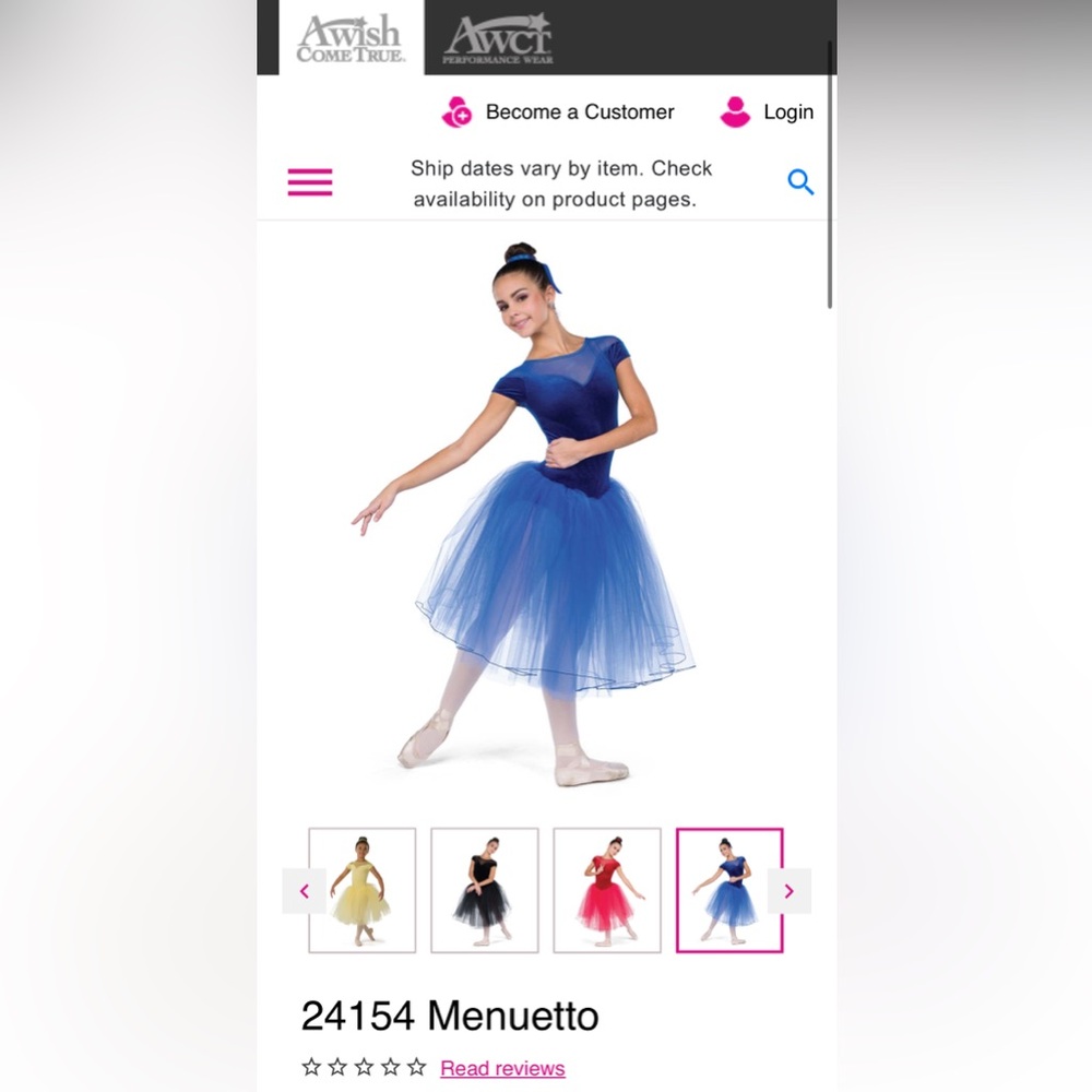 AWCT Women's Blue Ballet Dress